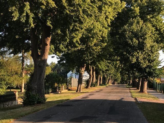Siesta Country Villa Świebodzin Kültér fotó